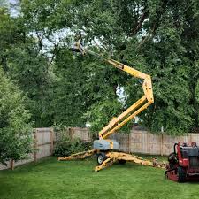 Best Lot and Land Clearing  in Lagunitas Forest Knolls, CA