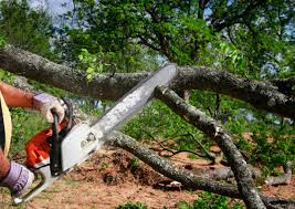 Best Lawn Irrigation Installation and Maintenance  in Lagunitas Forest Knolls, CA